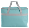 Kjølebag sammenleggbar 20L Ass