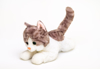 Knøtte. Teddy Katt