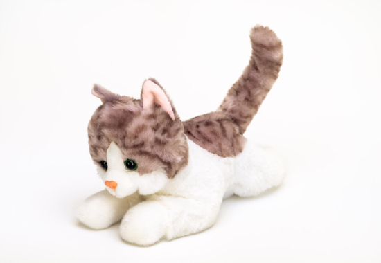 Knøtte. Teddy Katt