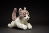 Knøtte. Teddy Katt