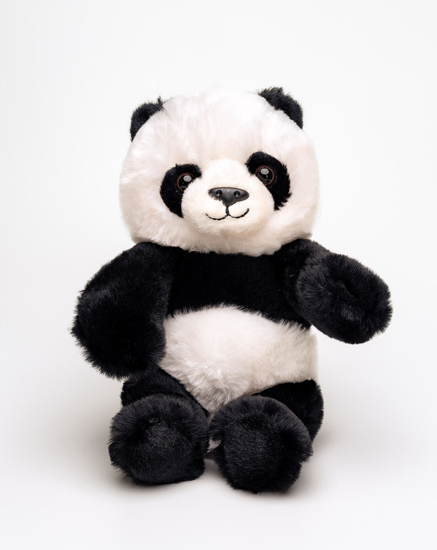Palle. Teddy Panda