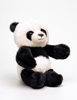 Palle. Teddy Panda
