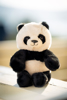 Palle. Teddy Panda