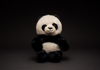 Palle. Teddy Panda