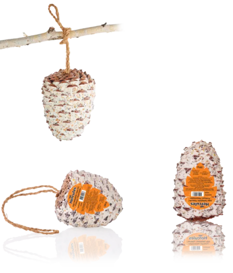 Fettkongle. Hercules